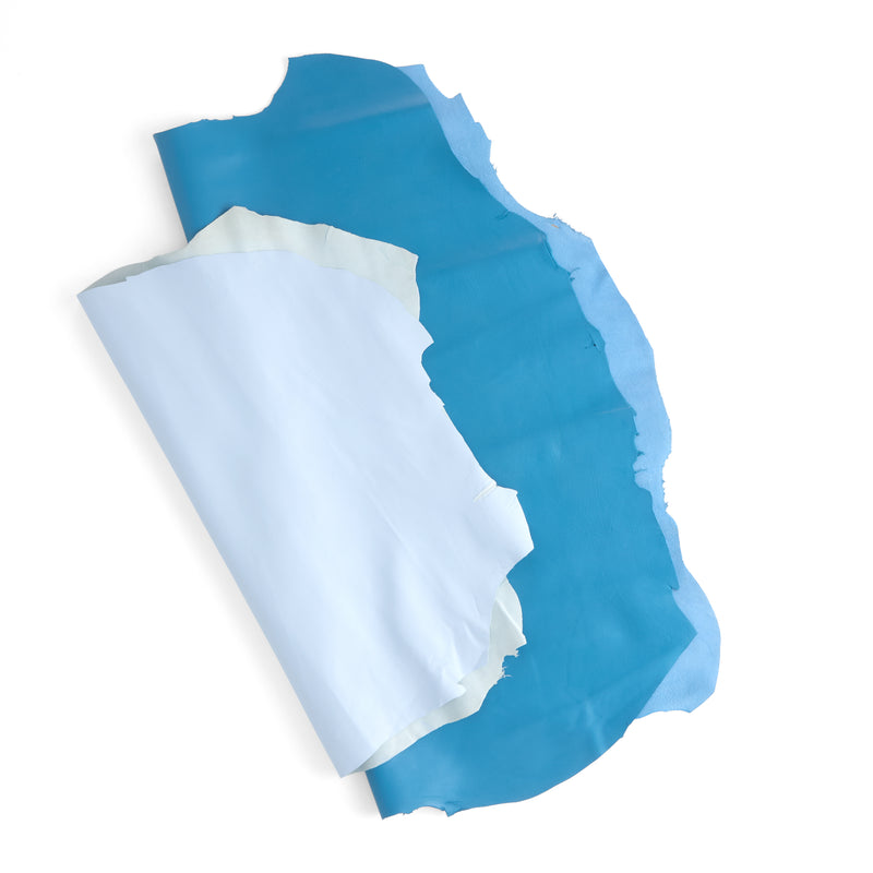 Diseñador Piel Pequeña Azul