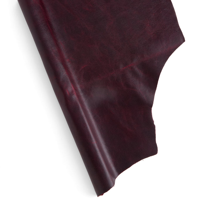 Lucido Single Shoulder