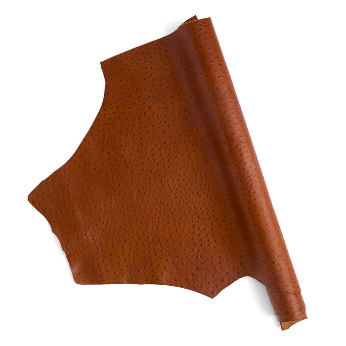 Ostrich Embossed Single Shoulder