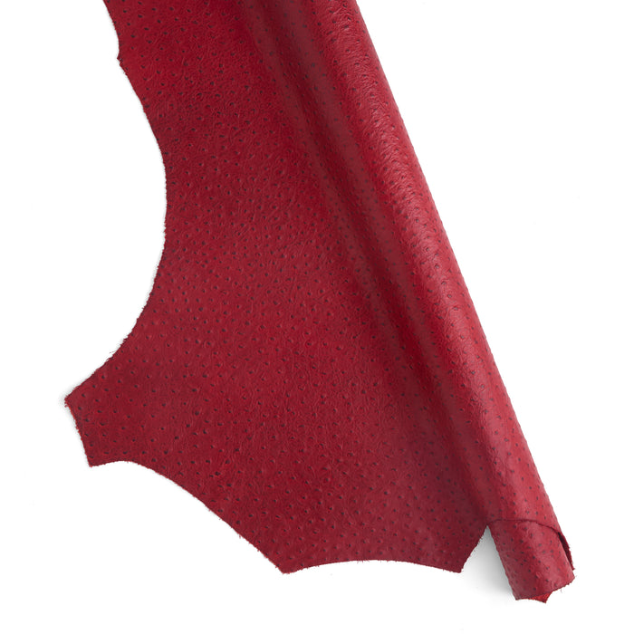 Ostrich Embossed Single Shoulder