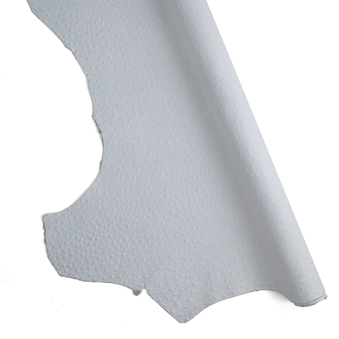 Ostrich Embossed Single Shoulder