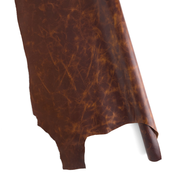 Double Shoulder Oryx