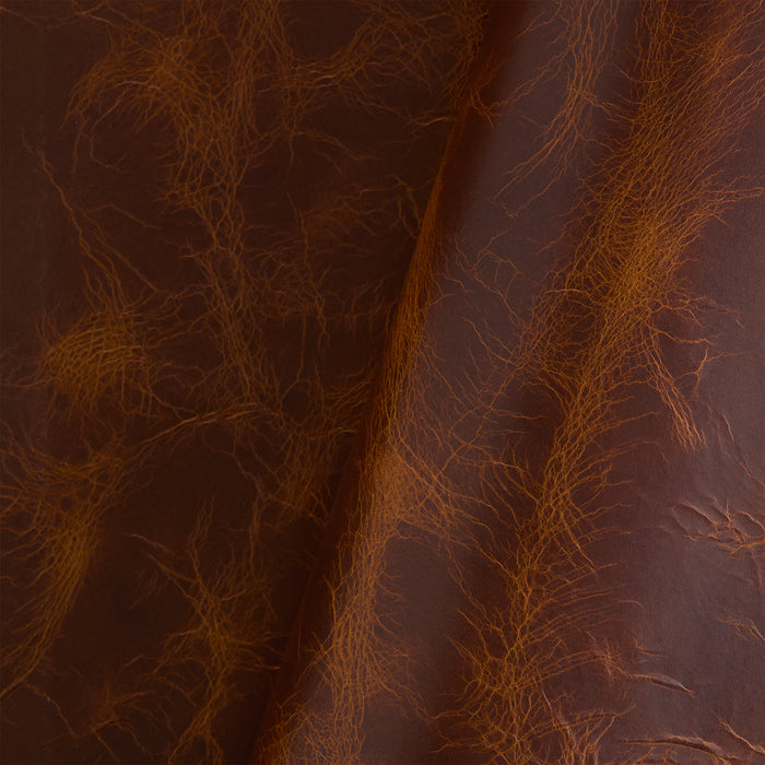 Double Shoulder Oryx