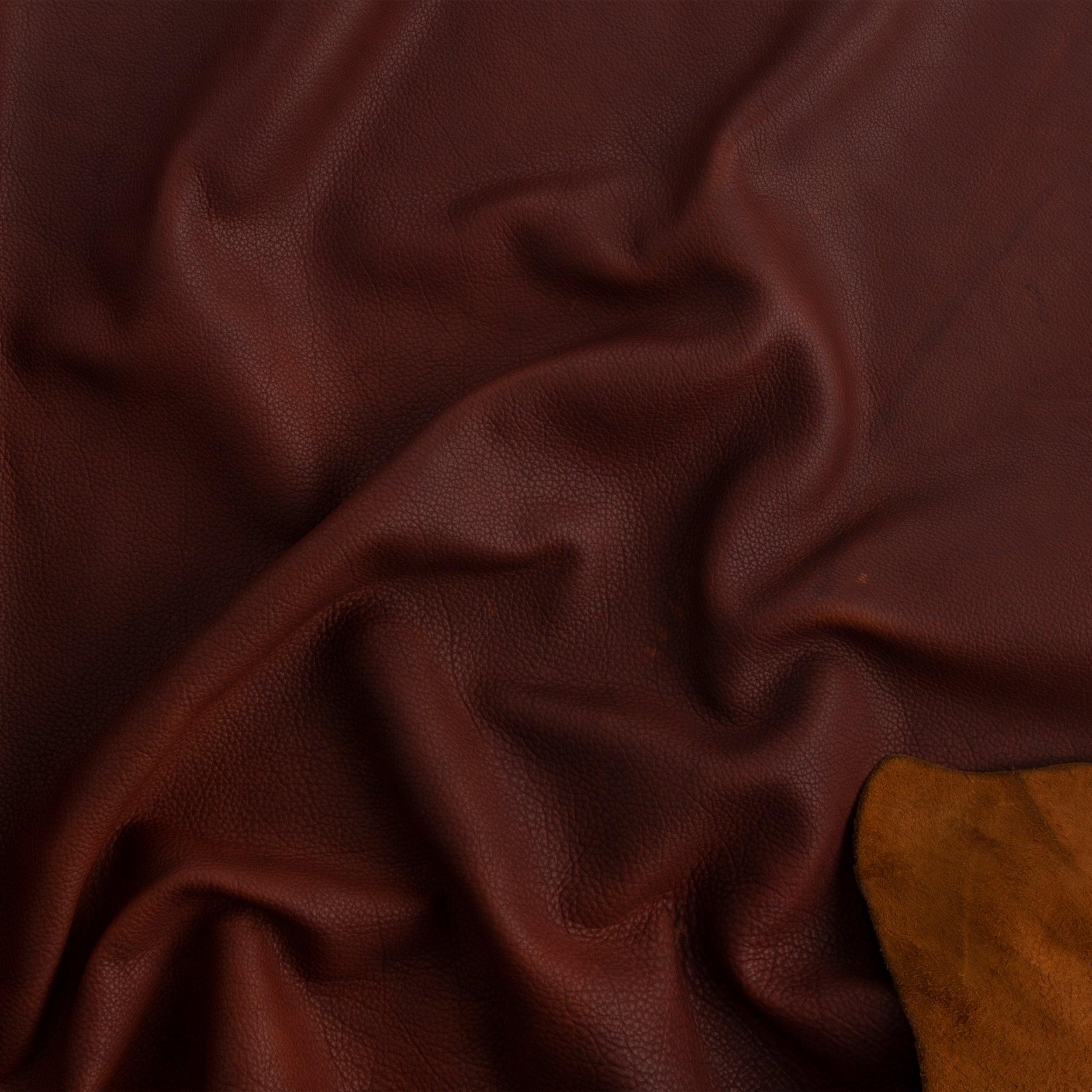 Frontier Bison Side | Tandy Leather — Tandy Leather, Inc.