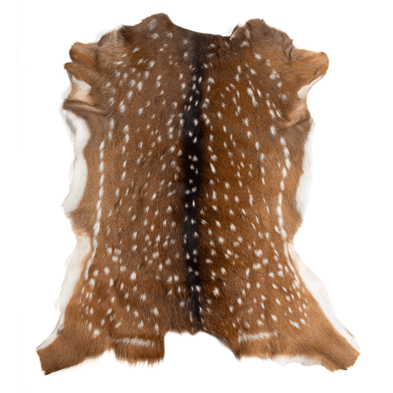 Axis Deer Hide