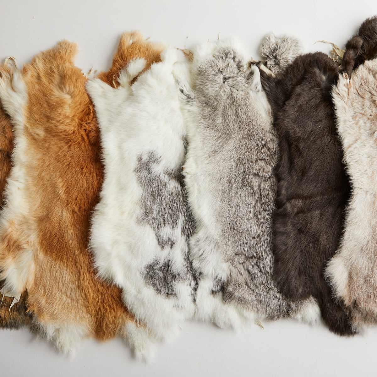 Rabbit Skin | Tandy Leather — Tandy Leather, Inc.