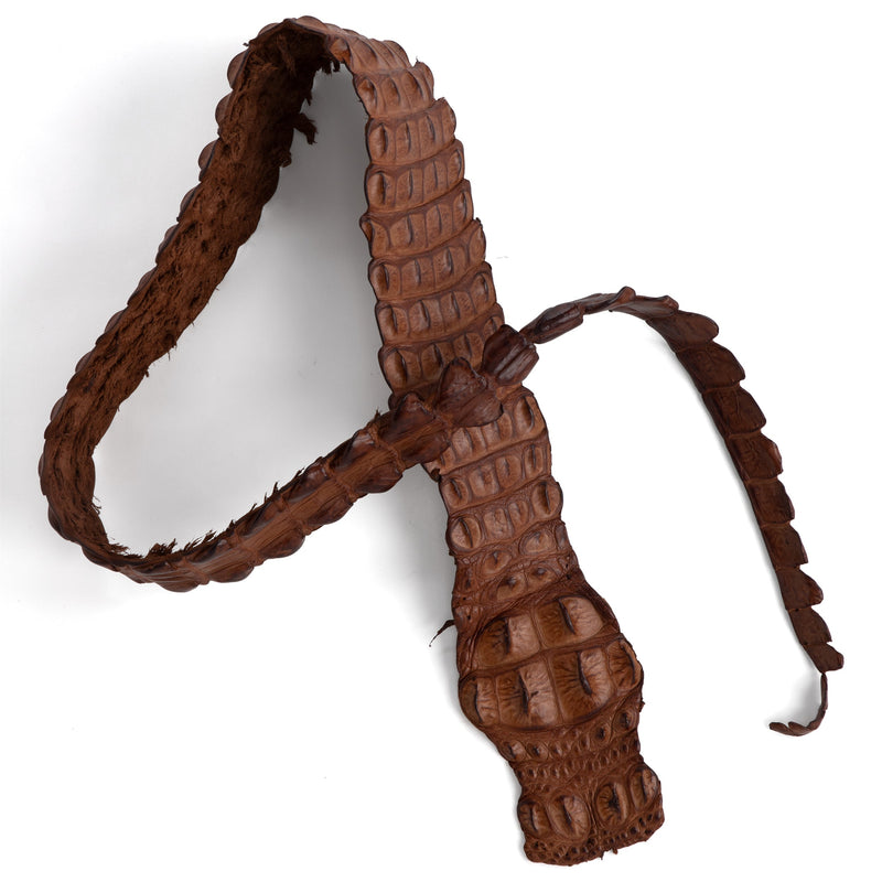 Crocodile Backstrap