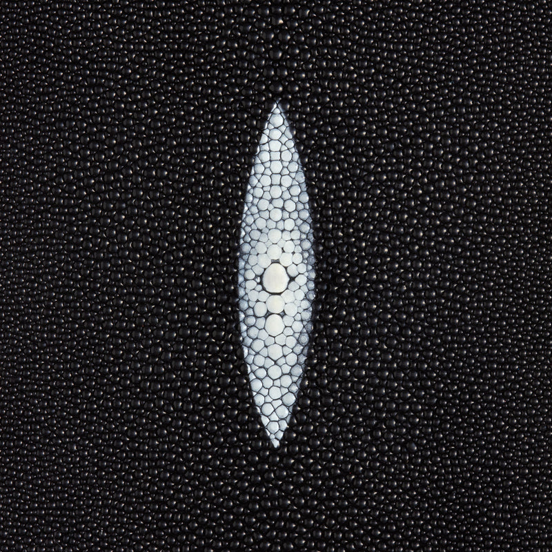 Stingray Small Skin