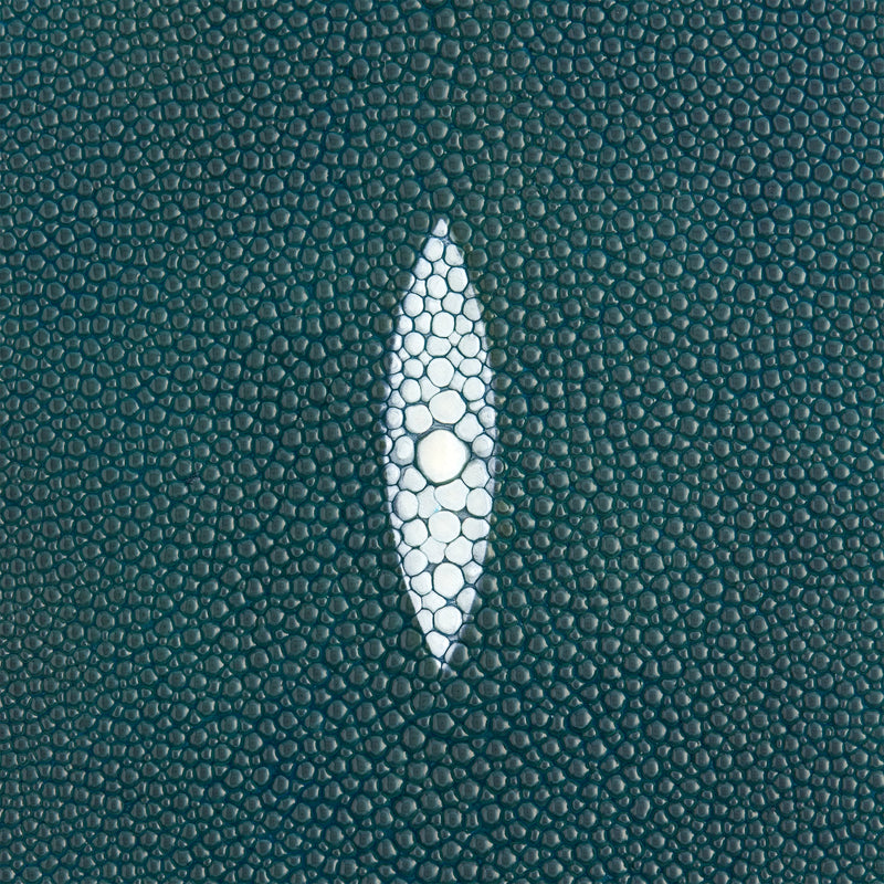 Stingray Small Skin