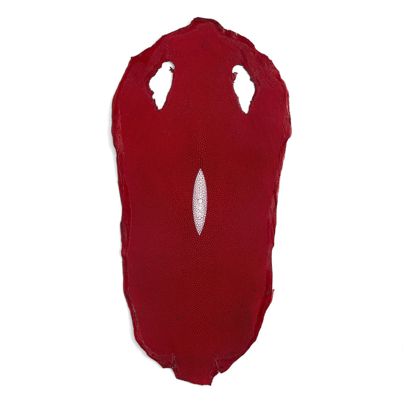 Stingray Small Skin