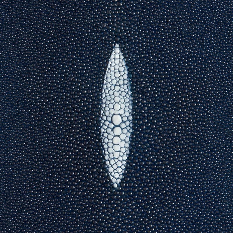 Stingray Small Skin