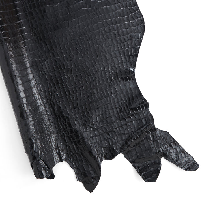 Designer Crocodile Embossed Side Black