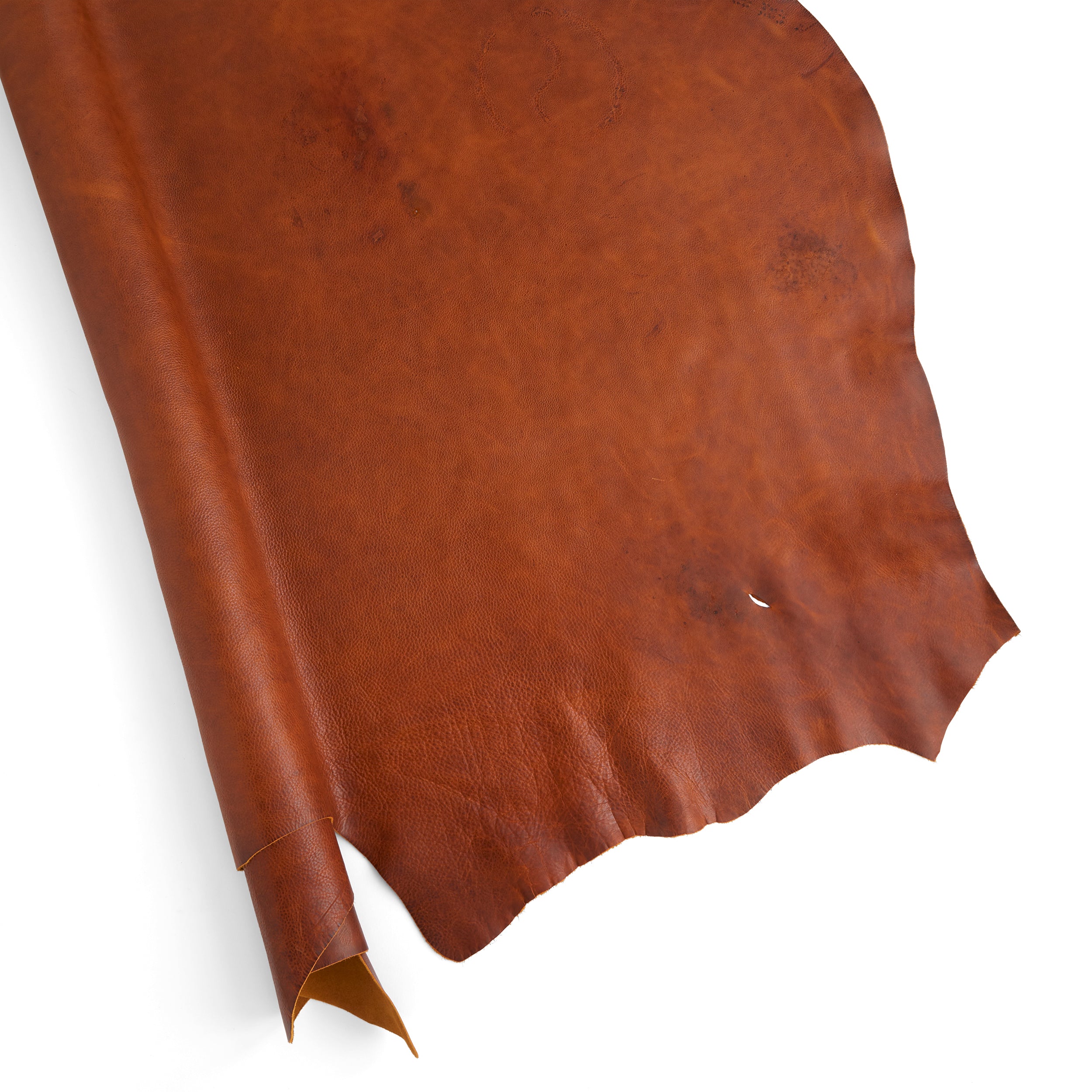 Bulldog Side | Tandy Leather — Tandy Leather, Inc.