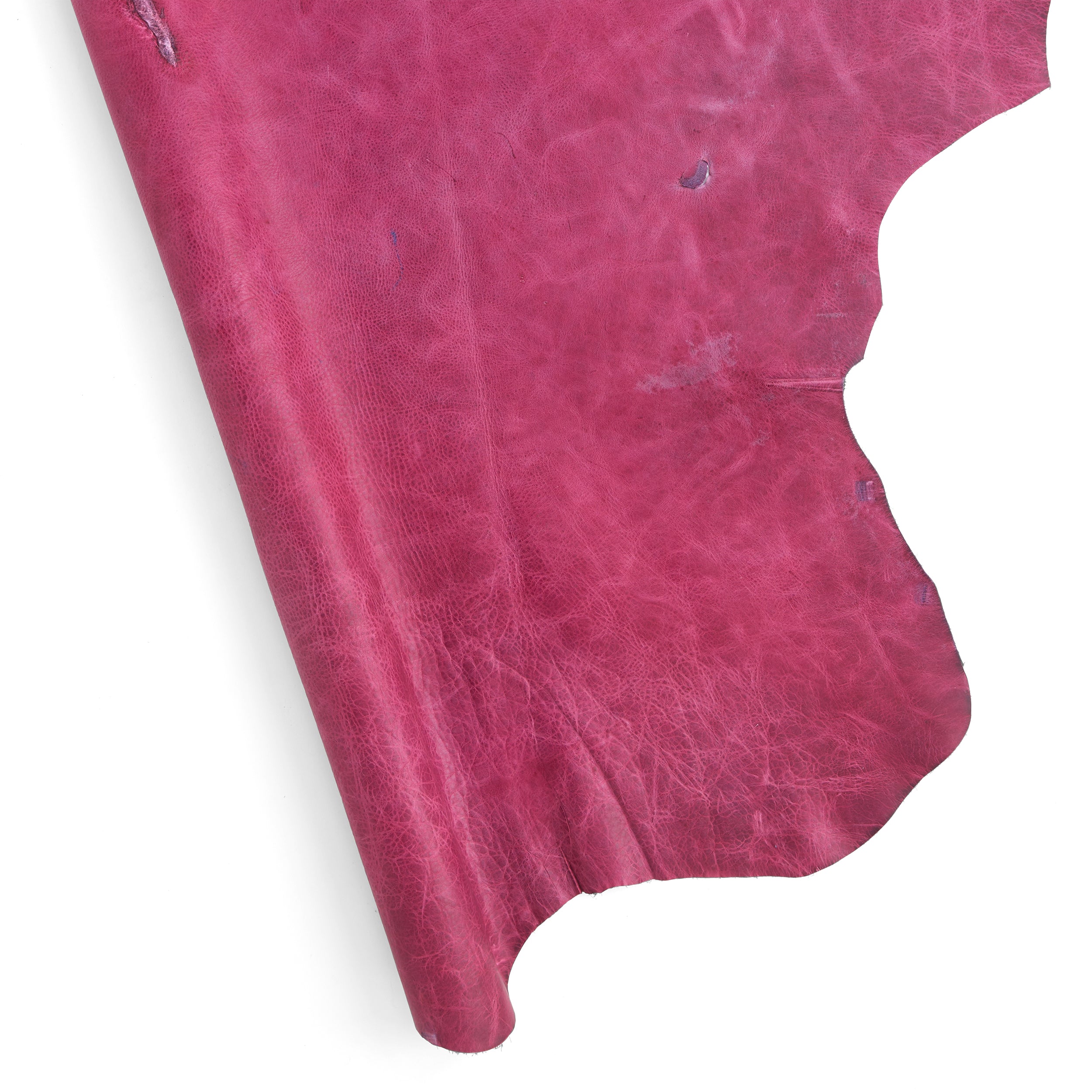 Bulldog Side | Tandy Leather — Tandy Leather, Inc.