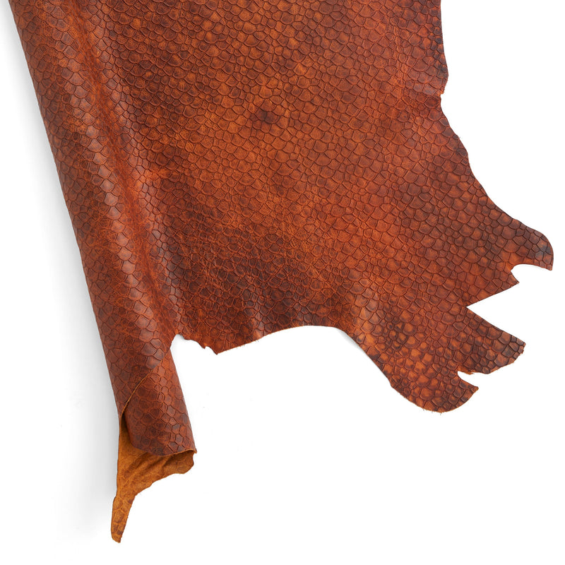 Scale Embossed Side