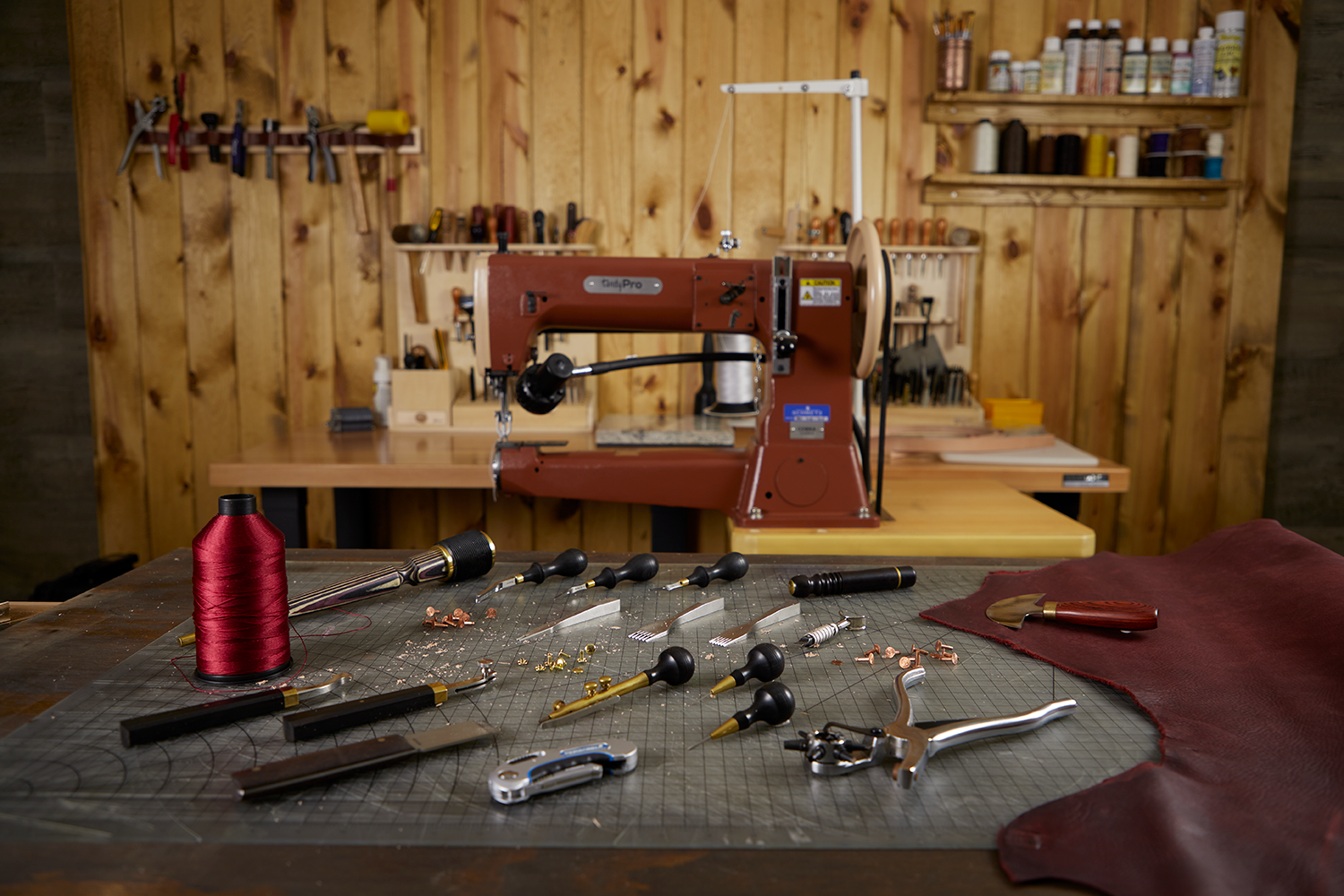 Shell Creatures Paint Craft The Maker Workshop at Tandy Leather — Tandy Leather, Inc.
