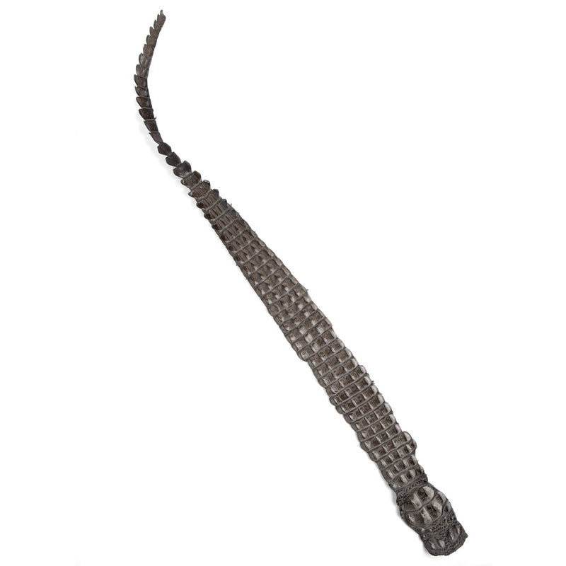 Crocodile Backstrap