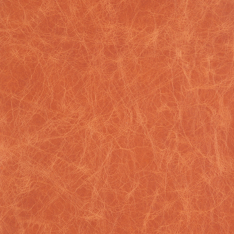 Kaleidoscope Tuscania Whole Hide