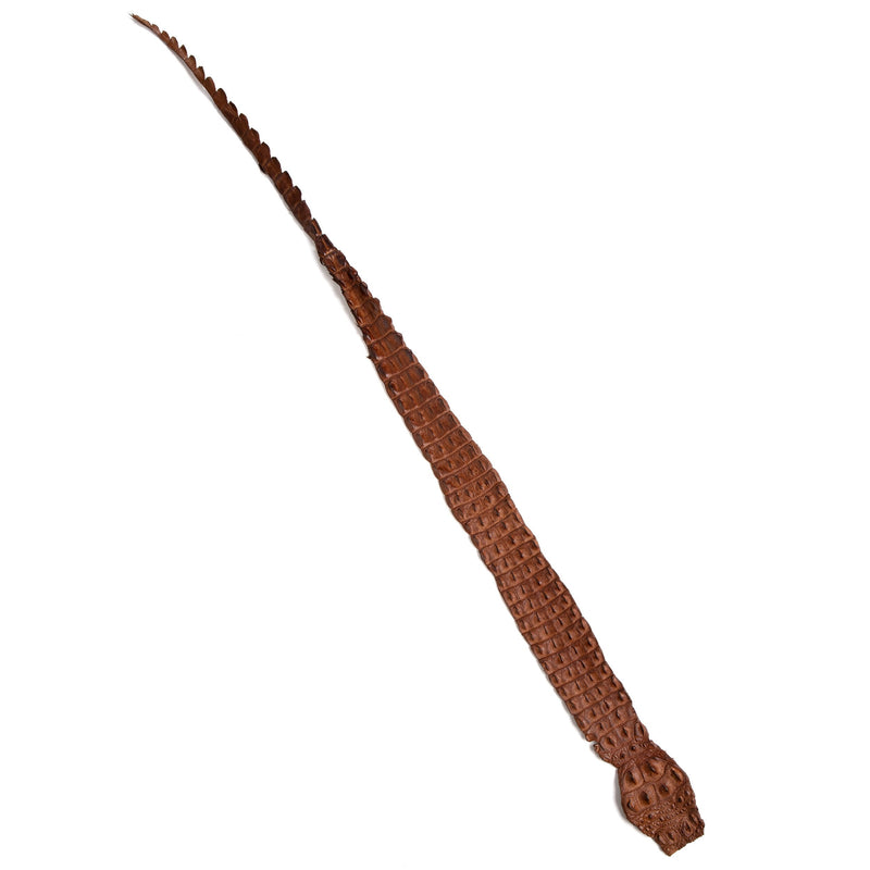 Crocodile Backstrap