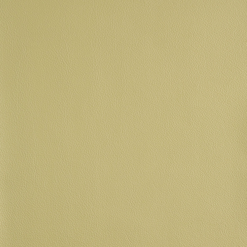 Kaleidoscope Linea Whole Hide - Brights