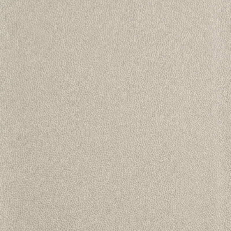 Kaleidoscope Prescott Whole Hide - Cool Tones