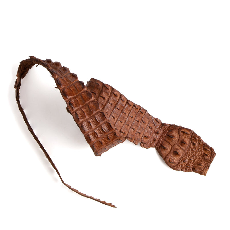 Crocodile Backstrap