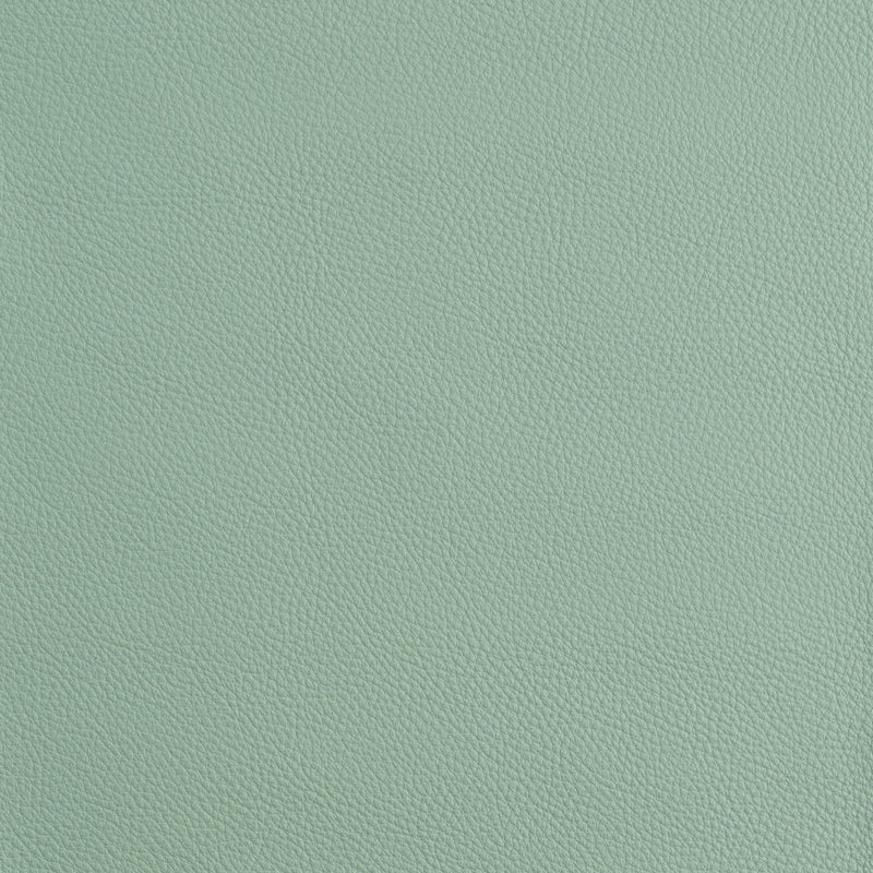 Kaleidoscope Prescott Whole Hide - Cool Tones
