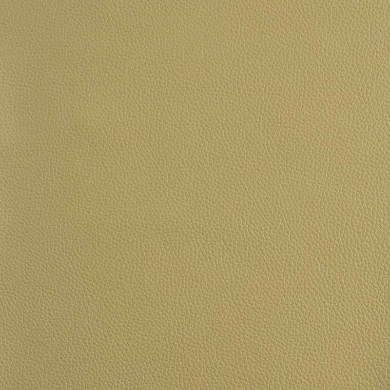 Kaleidoscope Prescott Whole Hide - Cool Tones