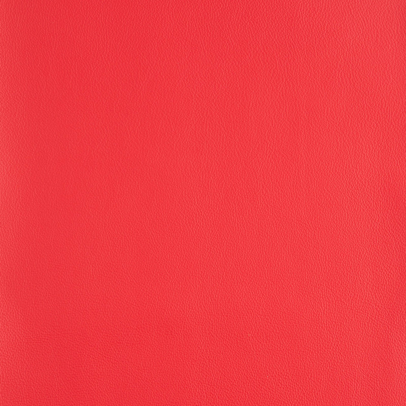Kaleidoscope Linea Whole Hide - Brights