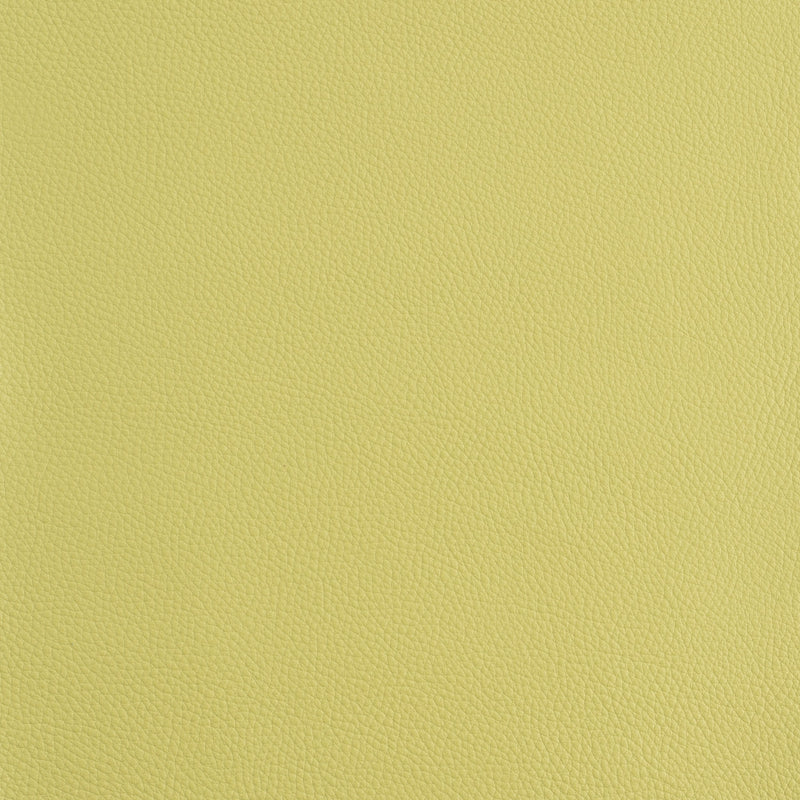 Kaleidoscope Prescott Whole Hide - Cool Tones