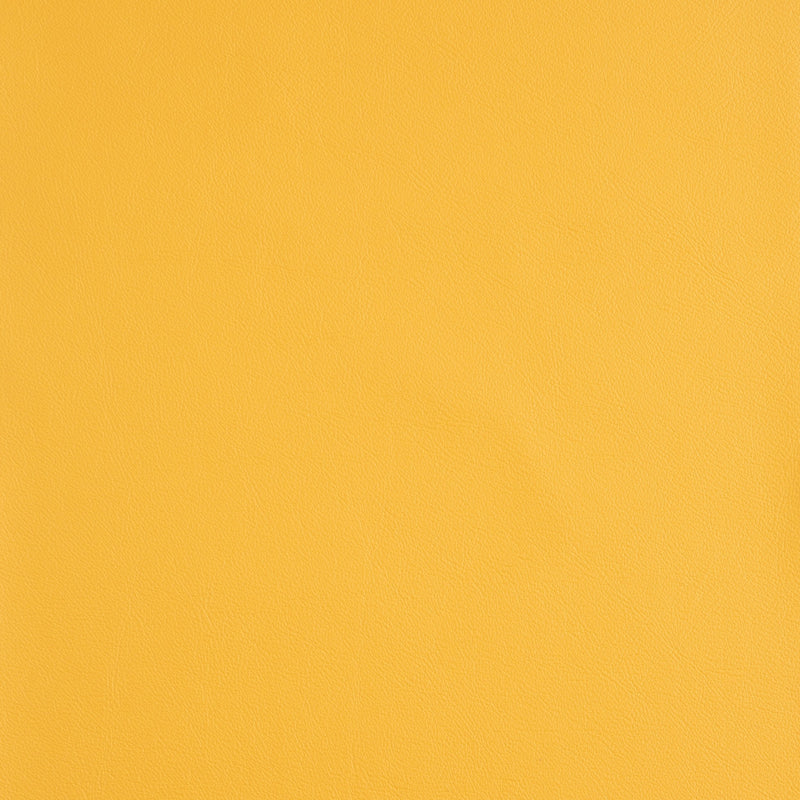 Kaleidoscope Linea Whole Hide - Brights