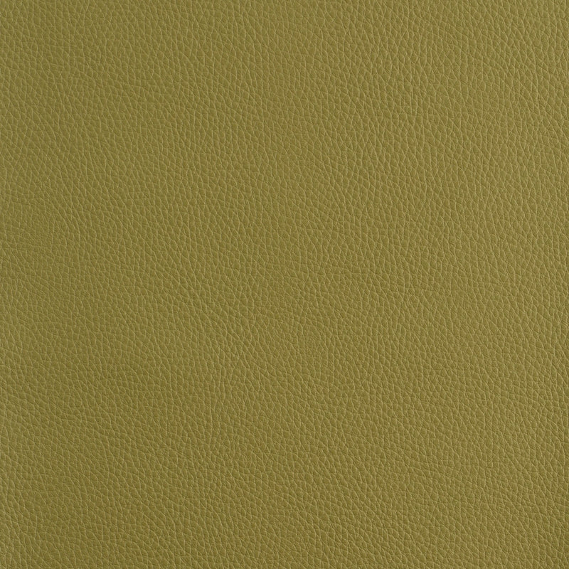 Kaleidoscope Prescott Whole Hide - Cool Tones