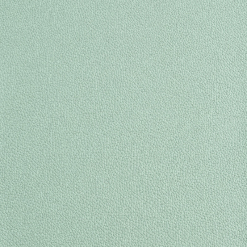 Kaleidoscope Prescott Whole Hide - Cool Tones