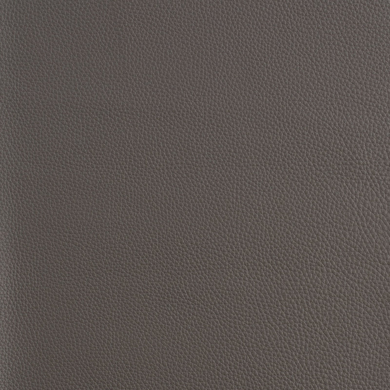 Kaleidoscope Prescott Whole Hide - Cool Tones