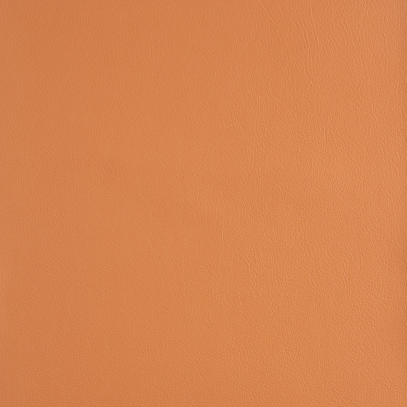 Kaleidoscope Linea Whole Hide - Brights