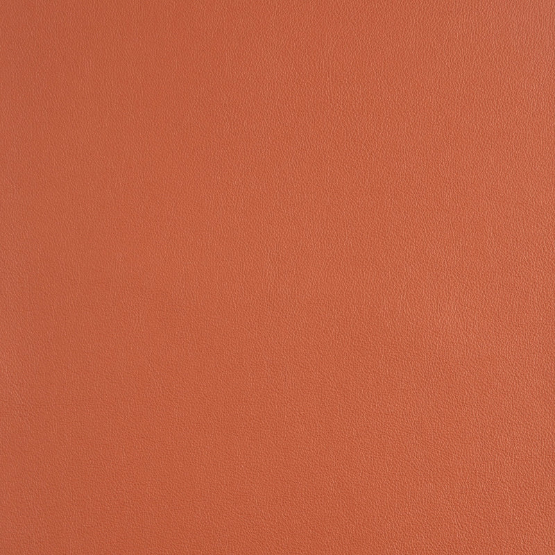 Kaleidoscope Linea Whole Hide - Brights