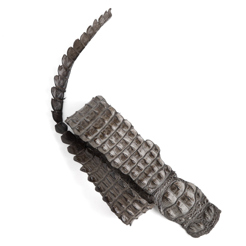 Crocodile Backstrap