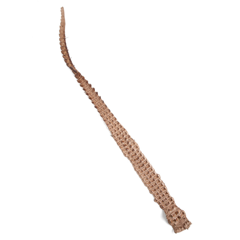 Crocodile Backstrap