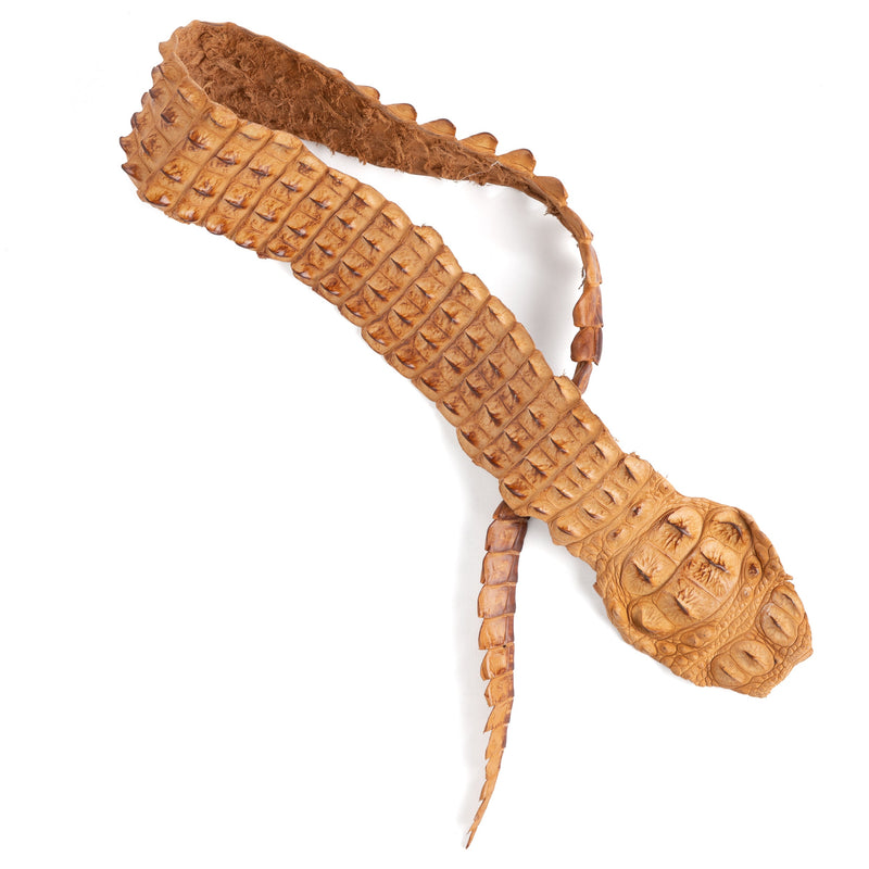 Crocodile Backstrap
