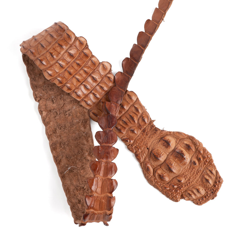 Crocodile Backstrap