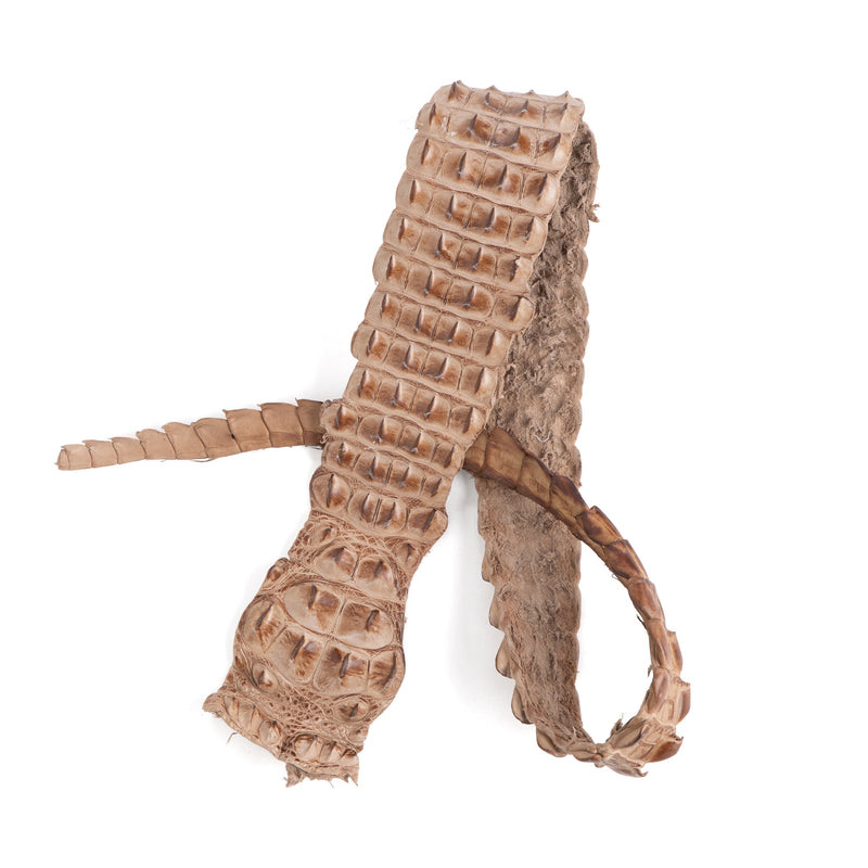Crocodile Backstrap